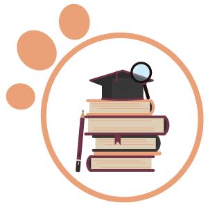 Nodarbības & semināri