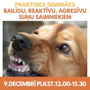 PRAKTISKS SEMINĀRS  9.DECEMBRĪ  BAILĪGU, REAKTĪVU UN AGRESĪVU SUŅU SAIMNIEKIEM