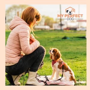 Individuālas nodarbības