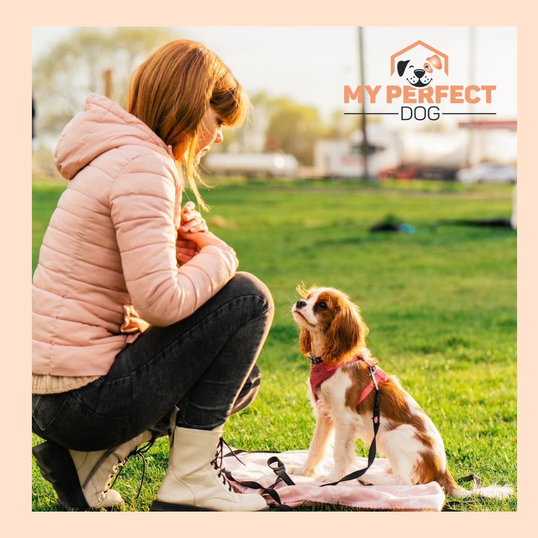 Individuālas nodarbības