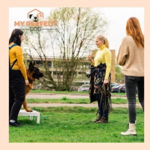 Uzvedības konsultācijas