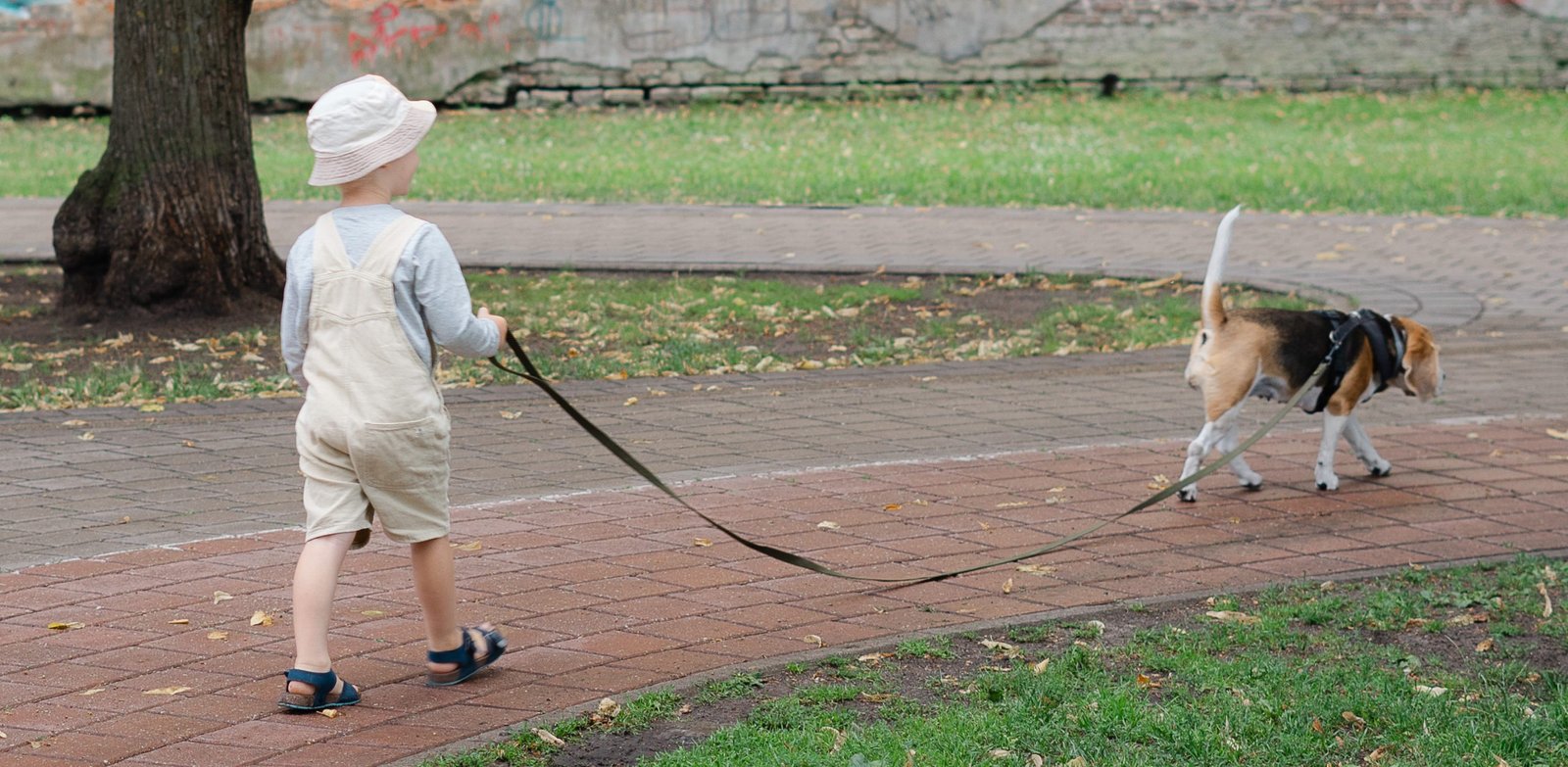 "My Perfect Dog" suņu & saimnieku skola - bērns un suns