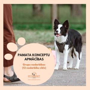 Pamatkonceptu apmācības kurss Rīgā & Jūrmalā (grupu nodarbības)