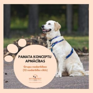 Pamatkonceptu apmācības kurss iekštelpas (grupu nodarbības)