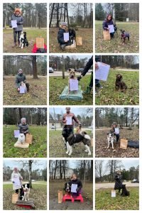 Noformējums bez nosaukuma (2)