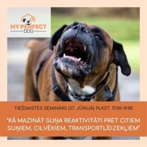 Tiešsaistes seminārs: “Kā mazināt suņa reaktivitāti pret citiem suņiem, cilvēkiem, transportlīdzekļiem”