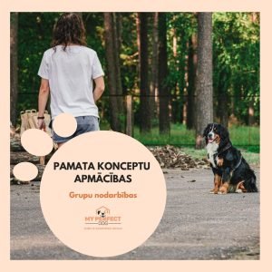 Pamatkonceptu apmācības kurss Carnikava (grupu nodarbības)