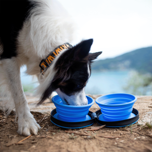 Kiwi Walker ceļojumu bļoda Double Bowl