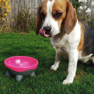 Kiwi Walker UFO bļoda