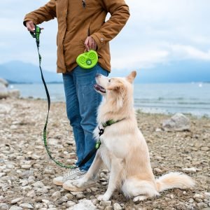 Kiwi Walker silikona kārumu somiņa