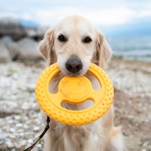 Kiwi Walker TPG rotaļlieta FRISBIJS