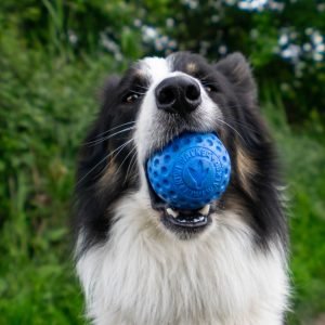 Kiwi Walker TPG rotaļlieta BUMBA