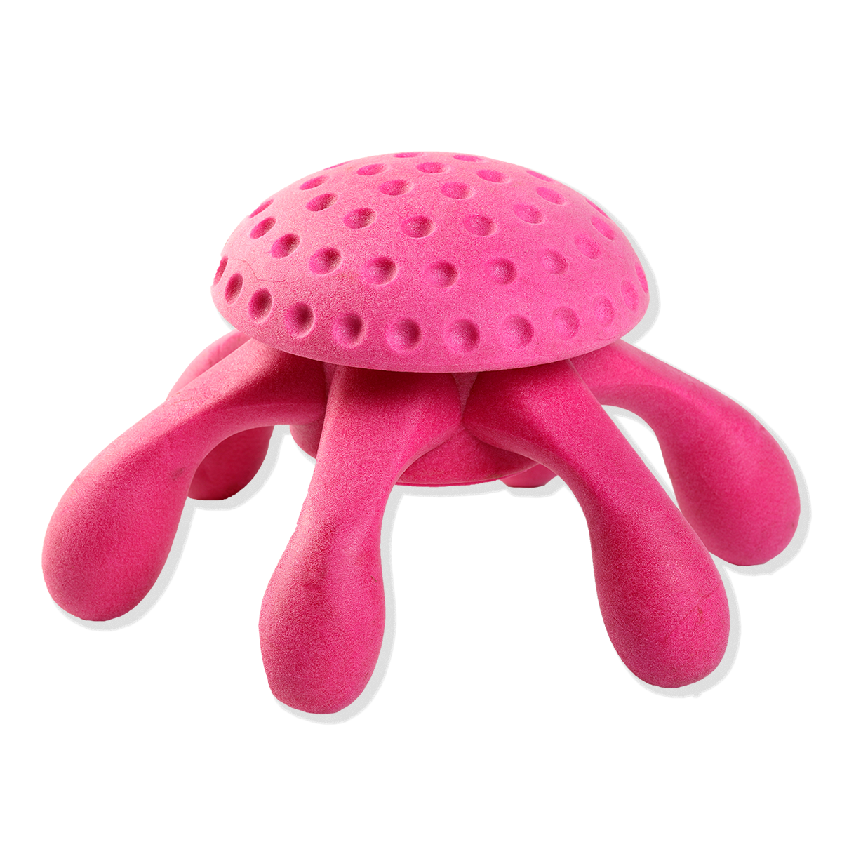 Kiwi Walker TPG rotaļlieta ASTOŅKĀJIS - Image 3