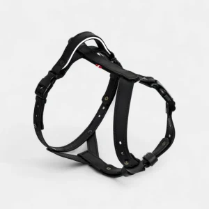 EasyFit anatomiski pareizi - ūdensdroši iemaukti suņiem