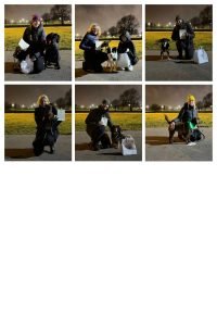 My Perfect Dog absolventi