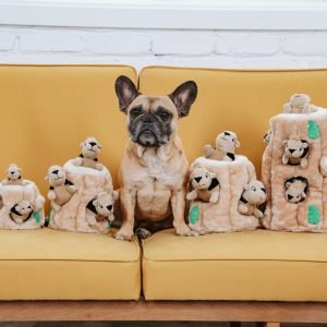 Outward Hound suņu rotaļlieta HIDE A SQUIRREL/RACCON ar pīkstošām vāverēm