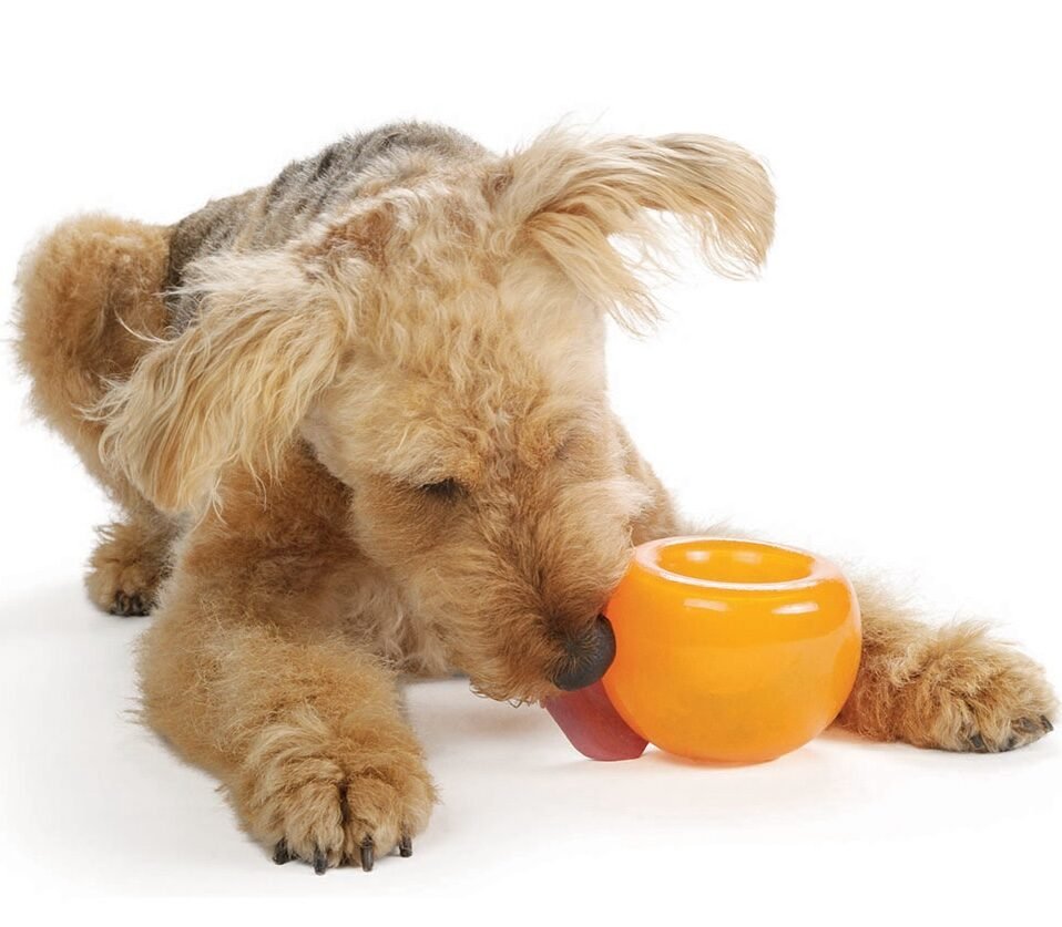 OUTWARD HOUND Lil Snoop rotaļlieta suņiem