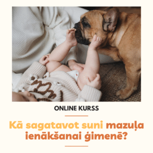Online kurss: "Kā sagatavot suni mazuļa ienākšanai ģimenē?"
