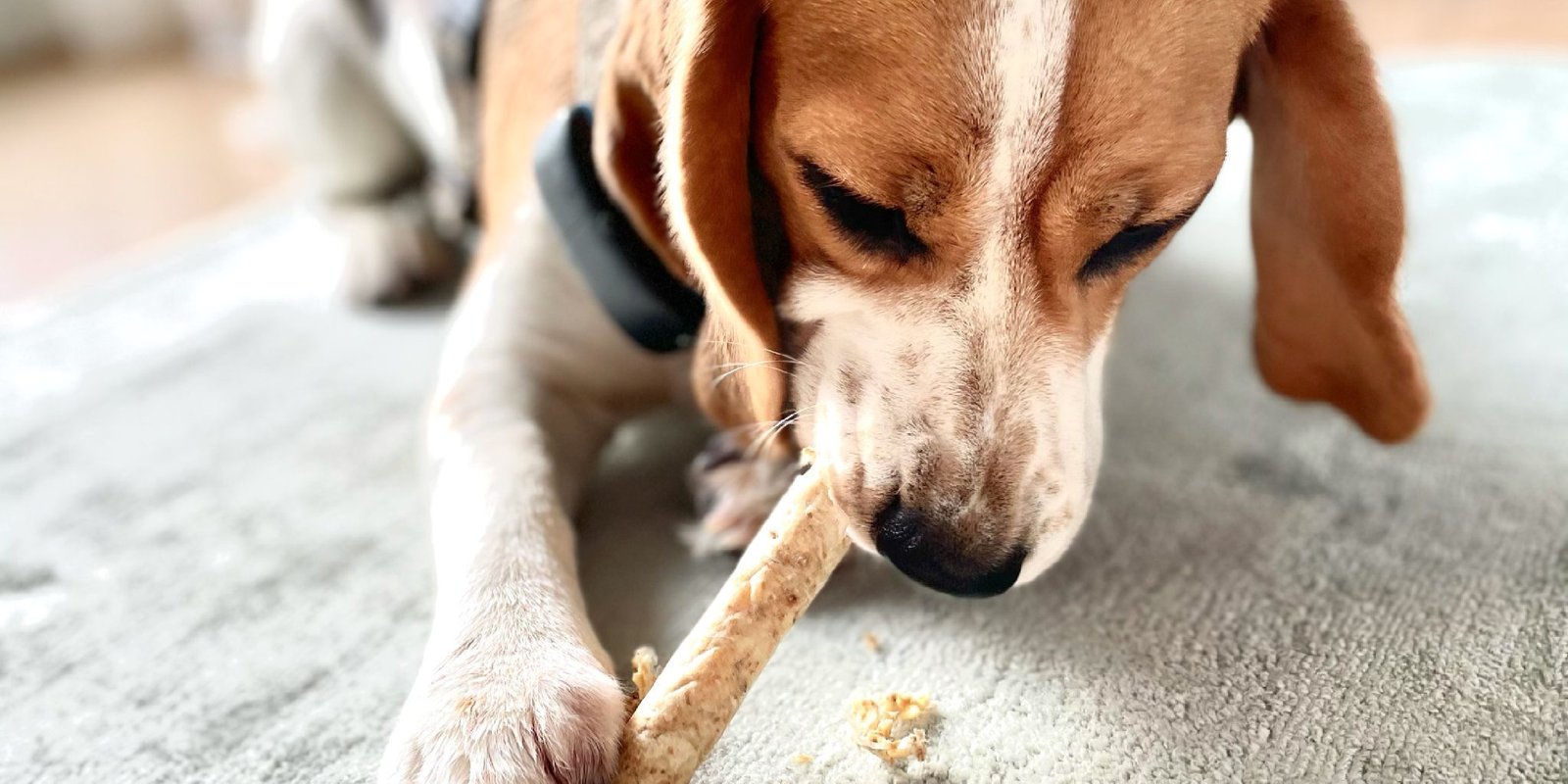 graušanas opcijas sunim