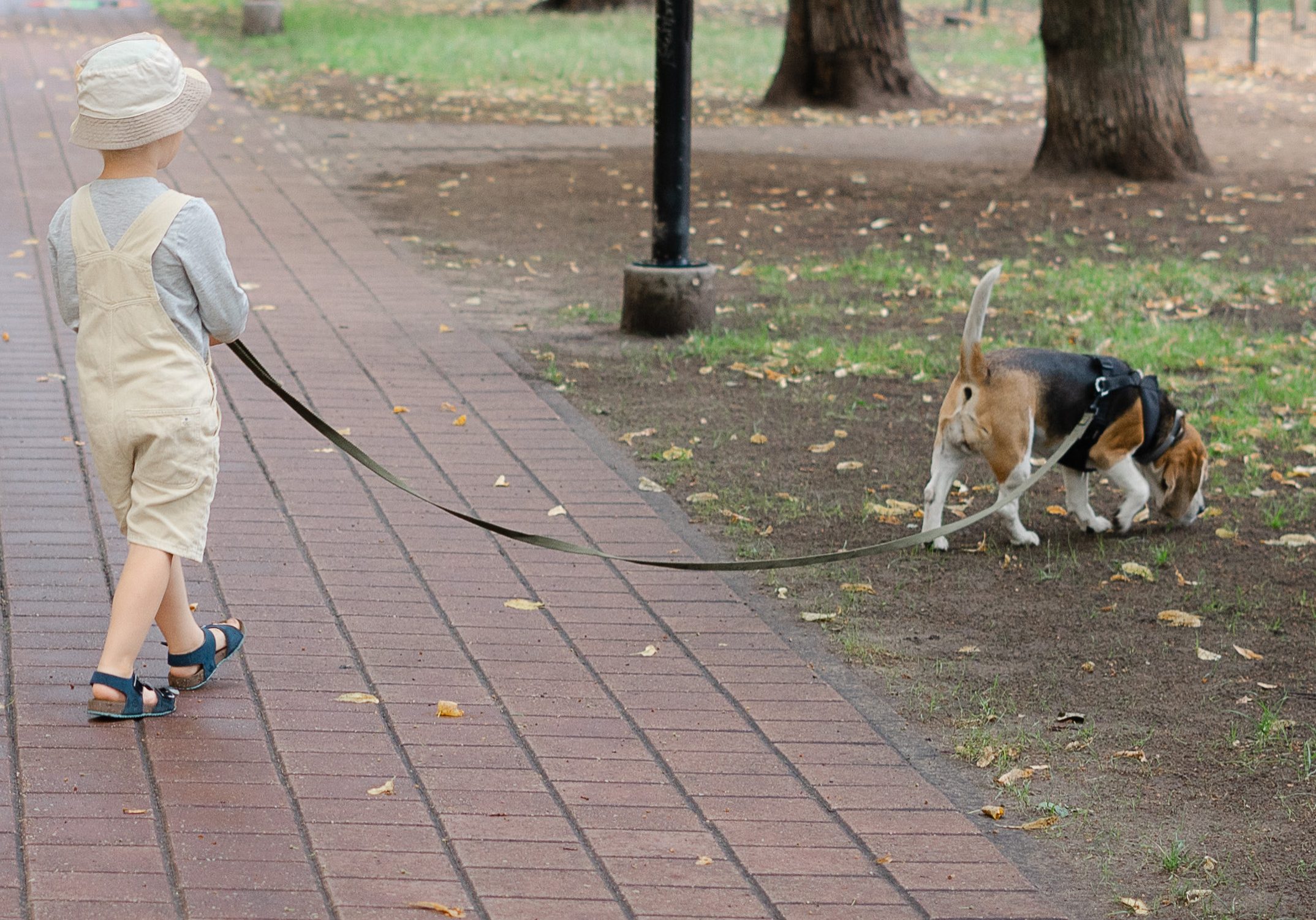 "My Perfect Dog" suņu & saimnieku skola - bērns un suns