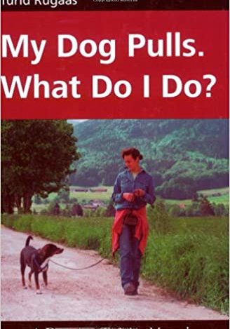 My Dog pulls, What do I Do??